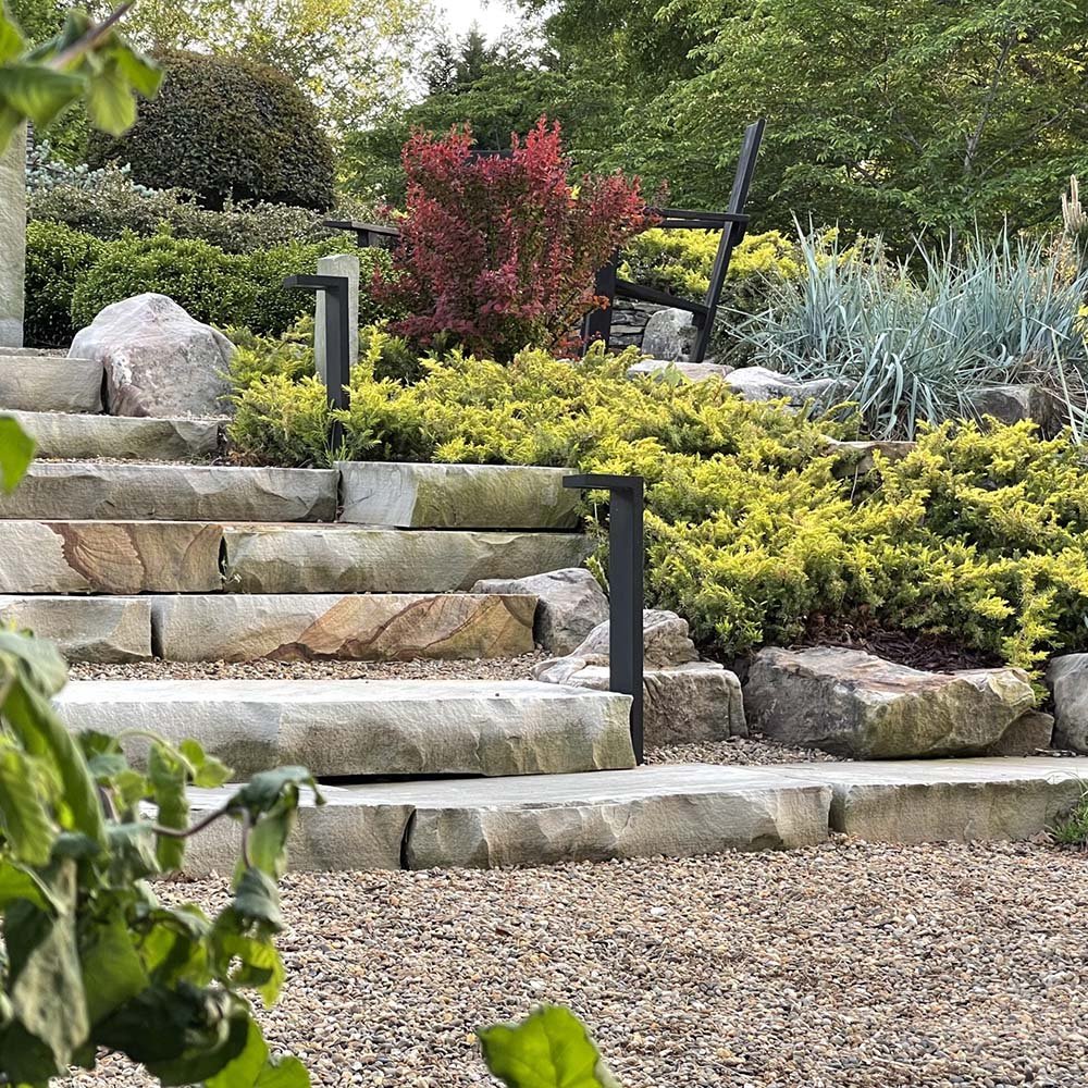 Ienupar tarator galben Gold Star